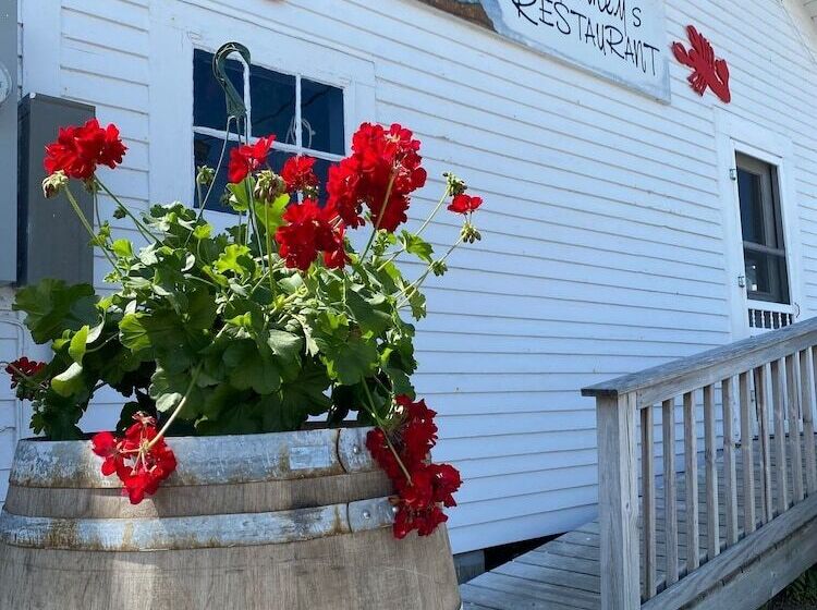 بنسيون Spinneys Guesthouse & Beach Cottages