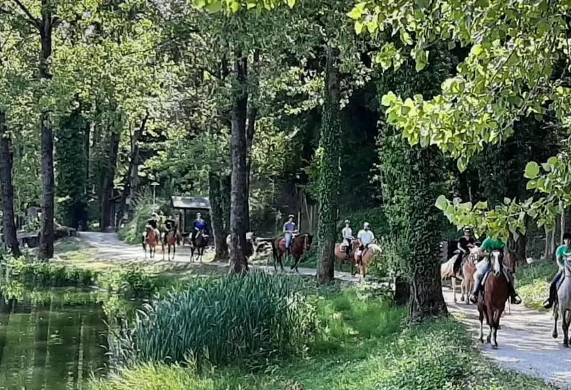 レジデンス Beautiful 2 Bed House In Longoio, Bagni Di Lucca