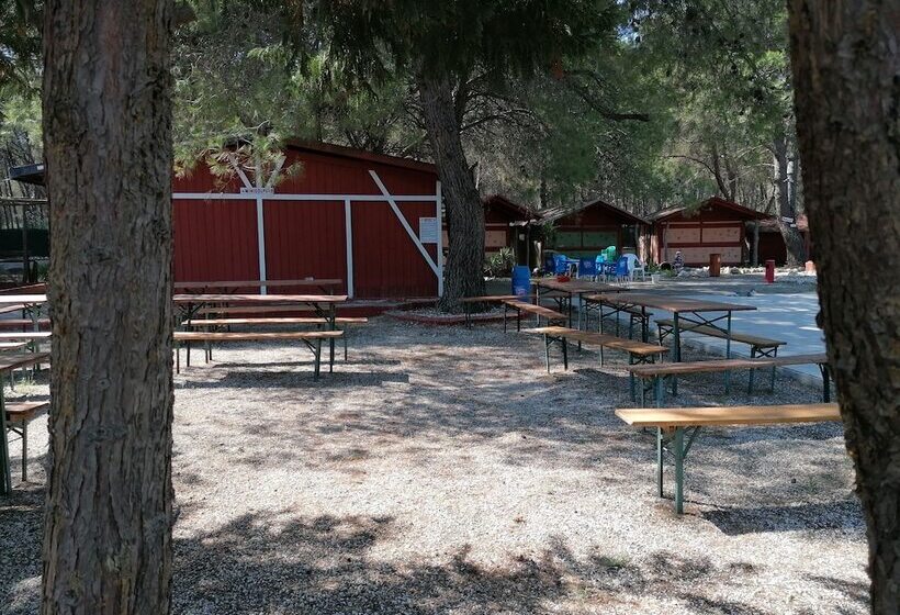 אתר נופש Camping Green Village Pin Tourist
