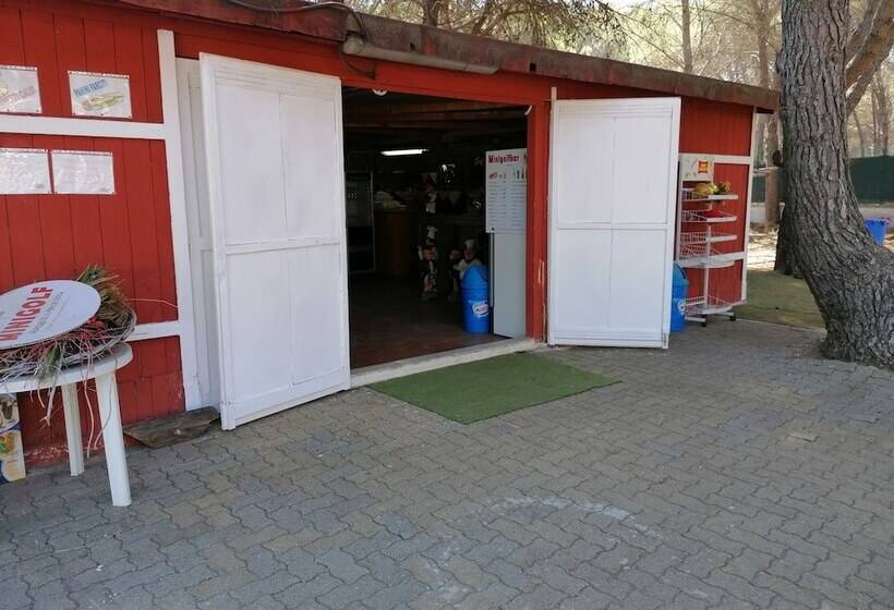 אתר נופש Camping Green Village Pin Tourist