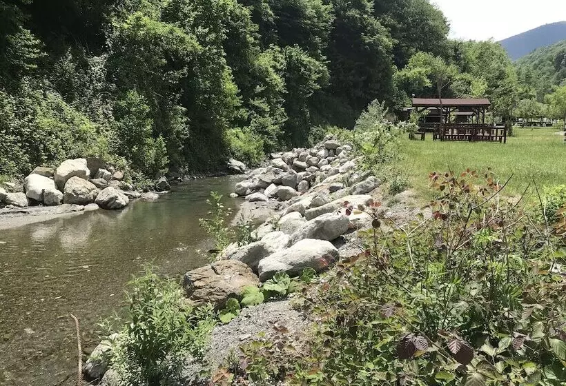 Aşina Motel Restorant