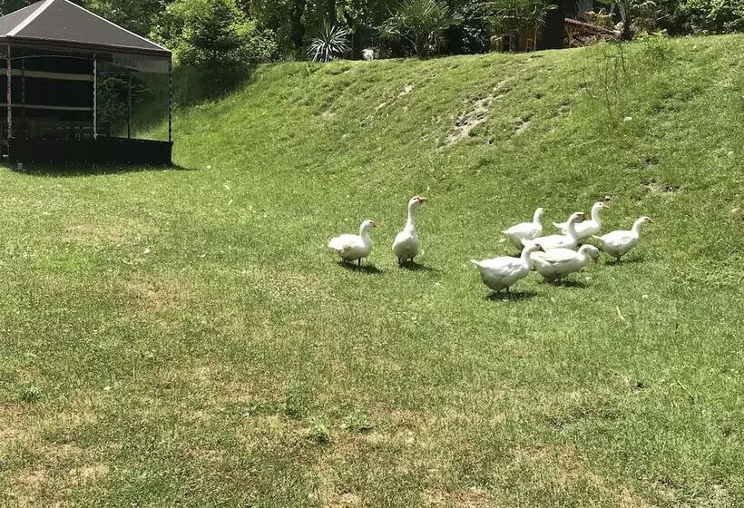 Aşina Motel Restorant