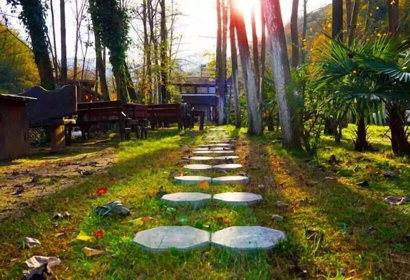 Aşina Motel Restorant