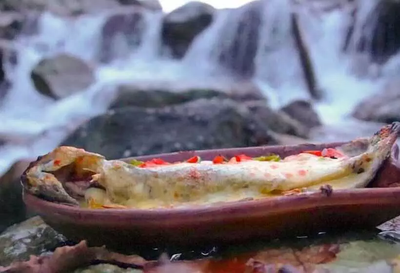 Aşina Motel Restorant