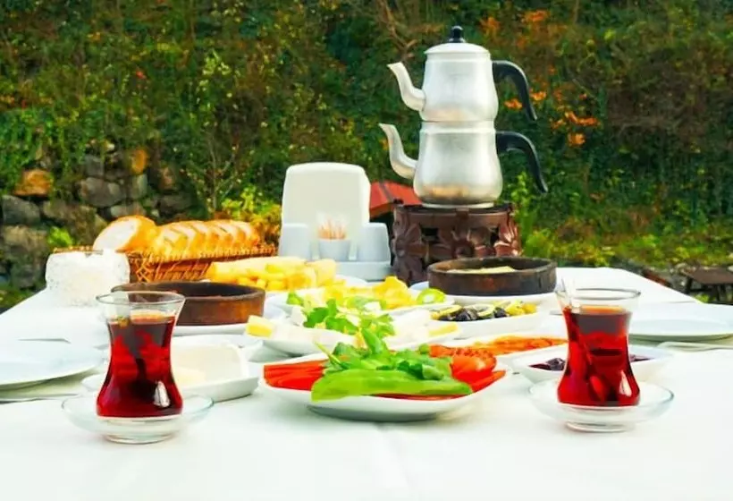 Aşina Motel Restorant