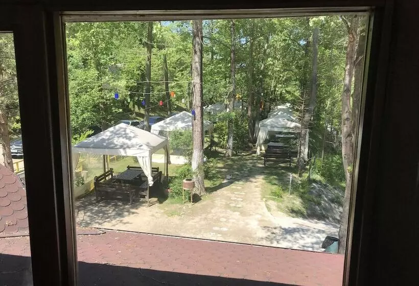 Aşina Motel Restorant