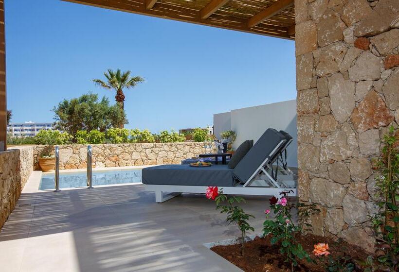 Bed and Breakfast Aloe Boutique