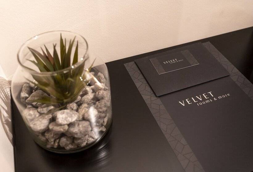 مبيت وإفطار Velvet Rooms & More