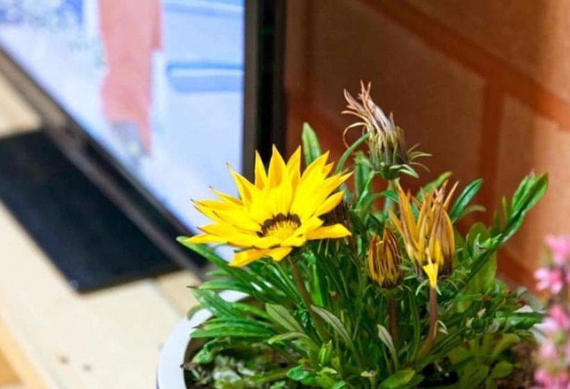 Boryeong Woori Hwangto Pension