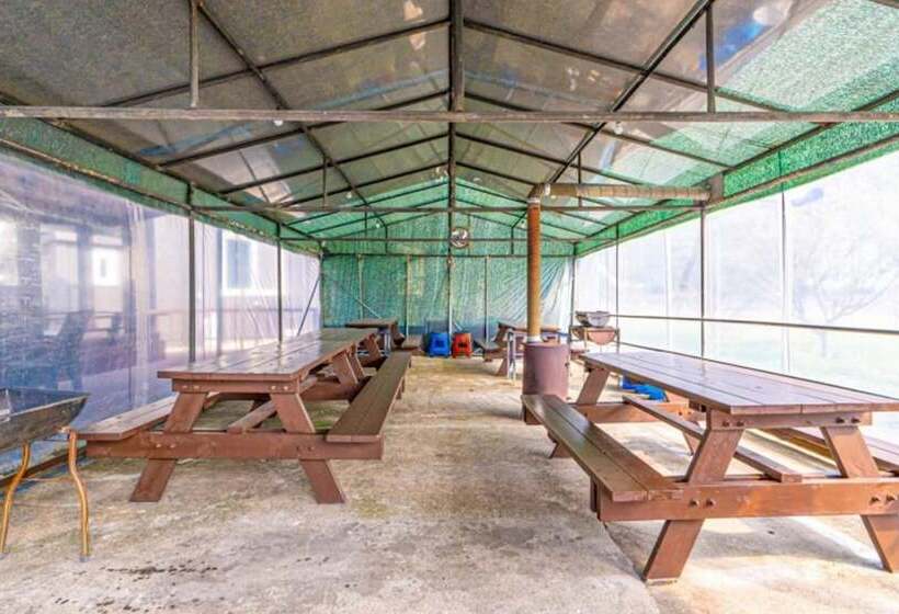 Daebudo Seonamujip Pension