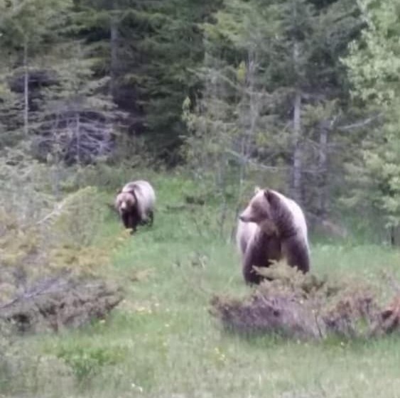 Hôtel Apple Tree Inn