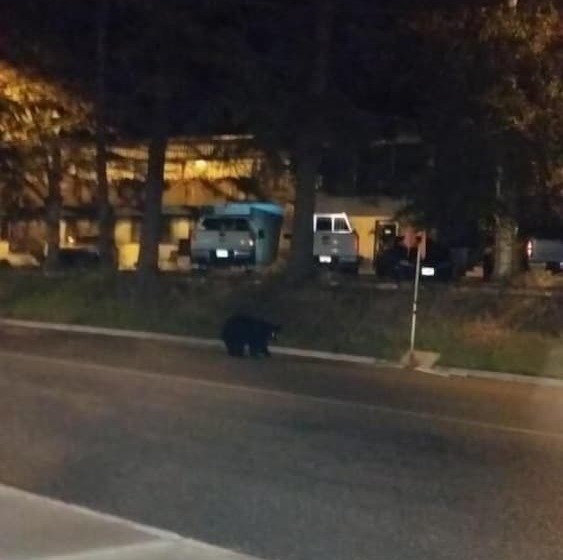 Hôtel Apple Tree Inn