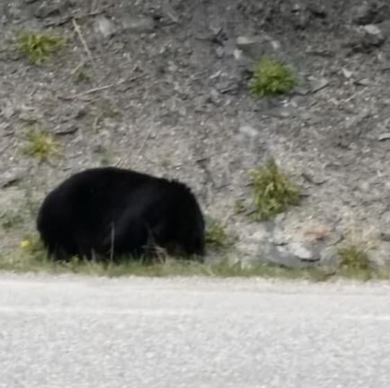 Hôtel Apple Tree Inn