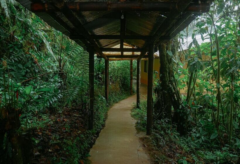 Hotel Birdwatchers House Y Lodge