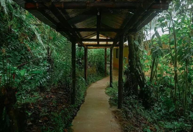 ホテル Birdwatchers House Y Lodge