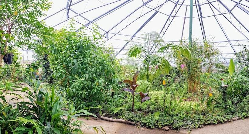 ホテル Haus Der Schmetterlinge