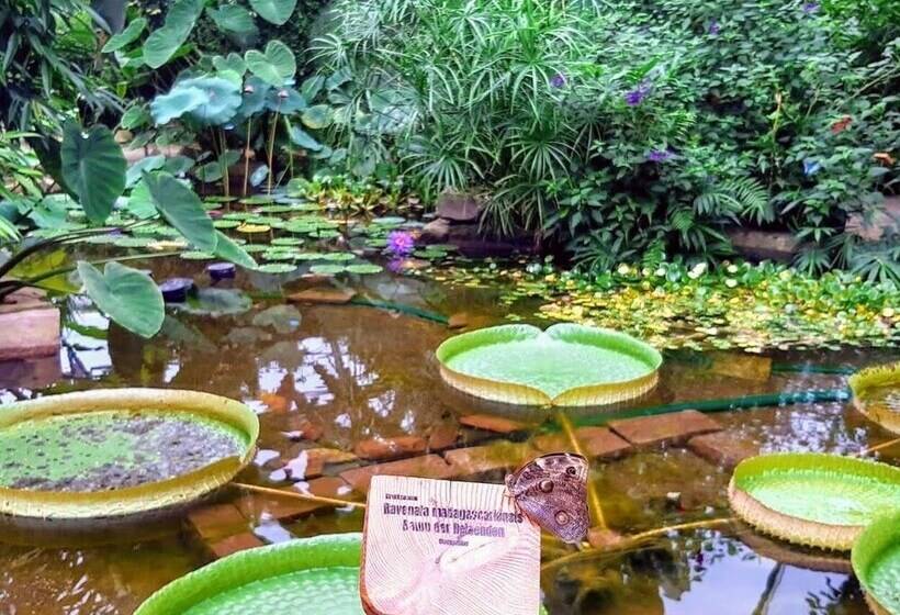 ホテル Haus Der Schmetterlinge