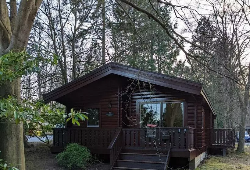 ホテル Pineshadow Lodge Dog Friendly, Kenwick Park, Louth