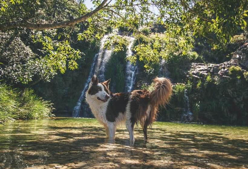 فندق Pousada Cachoeira Lagoa Azul