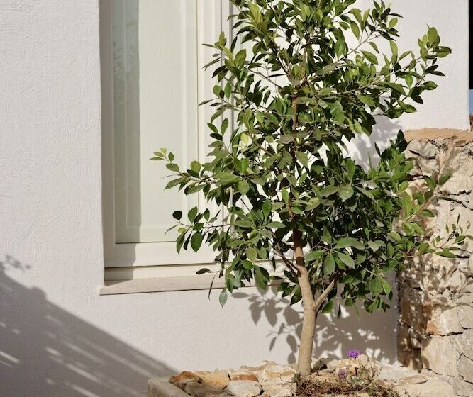 Отель Tenuta Negroamaro