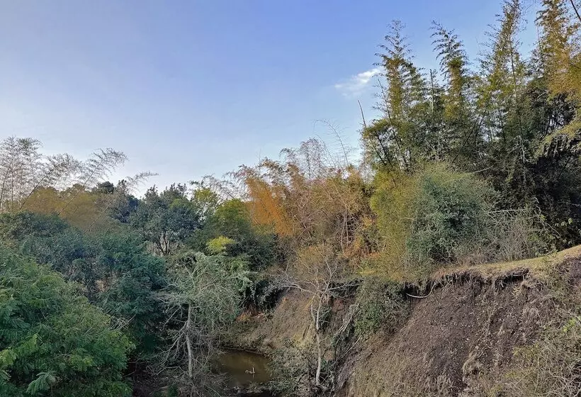 Majatalo Bamboo Banks