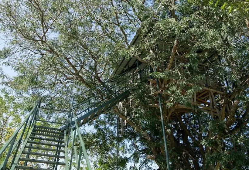 Majatalo Bamboo Banks