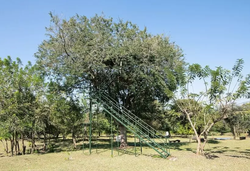 Majatalo Bamboo Banks