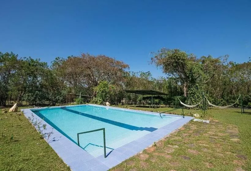 Majatalo Bamboo Banks