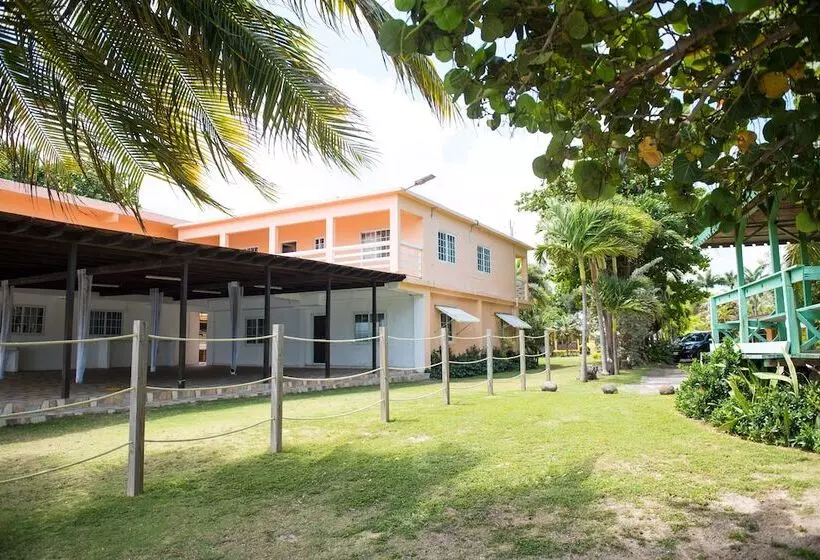 پانسیون Hunny Bay Resort