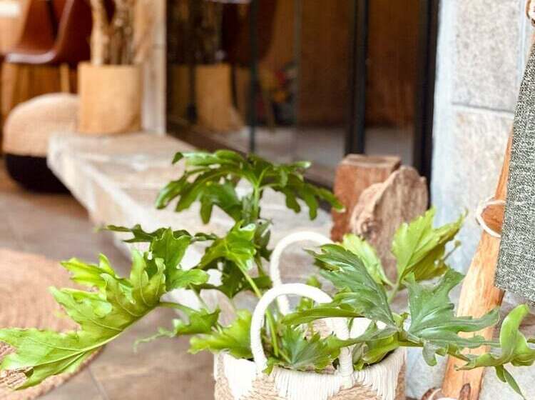 膳宿费 Terra Vista Chalet