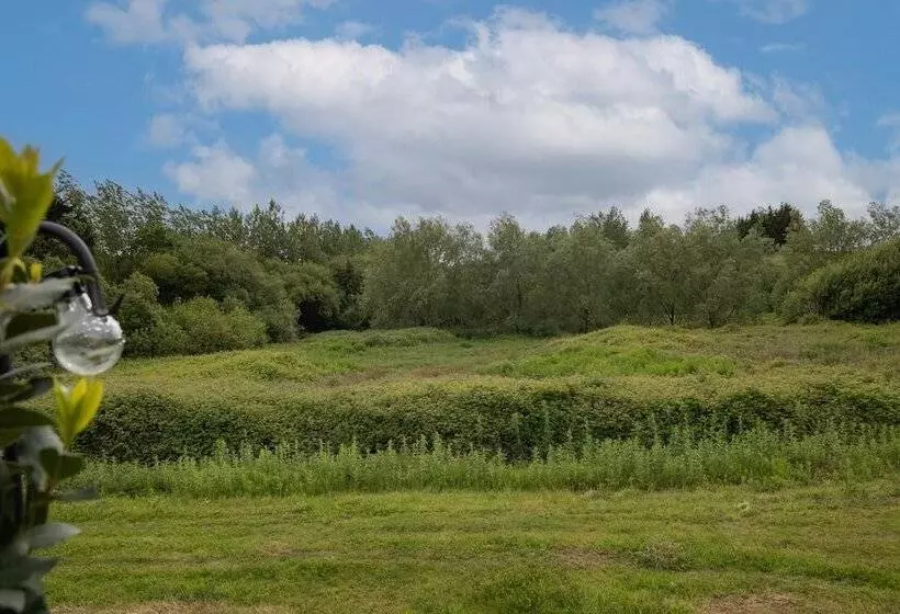 Trefelyn Cottage In Saundersfoot