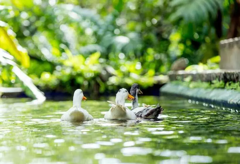 Отель Apa Villa Illuketia