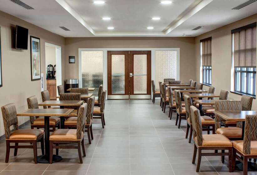 酒店 Comfort Inn & Suites