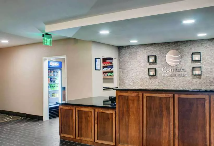 호텔 Comfort Inn & Suites