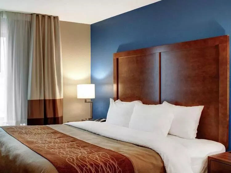 호텔 Comfort Inn & Suites
