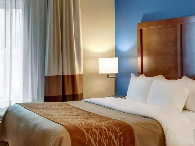 호텔 Comfort Inn & Suites