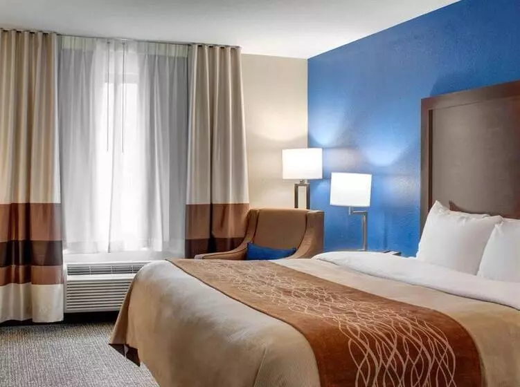 호텔 Comfort Inn & Suites