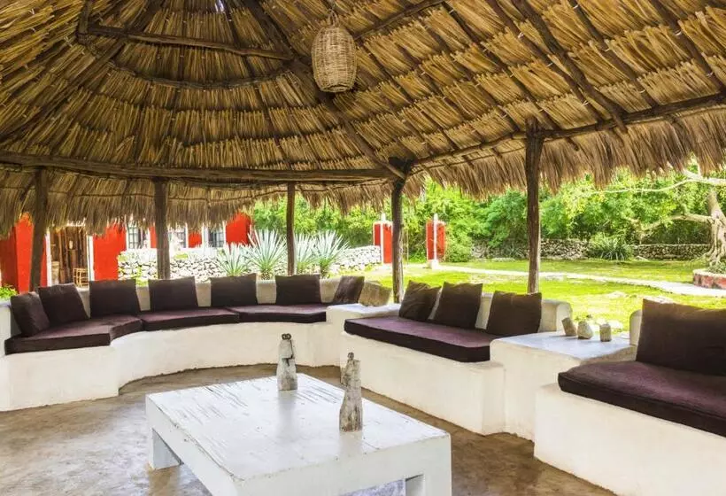 Отель Hacienda Ticum