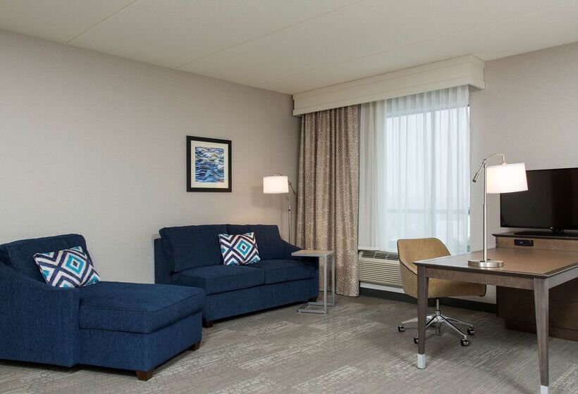 فندق Hampton Inn & Suites Grand Rapids Downtown