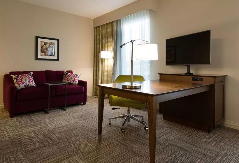 酒店 Hampton Inn & Suites Orangeburg