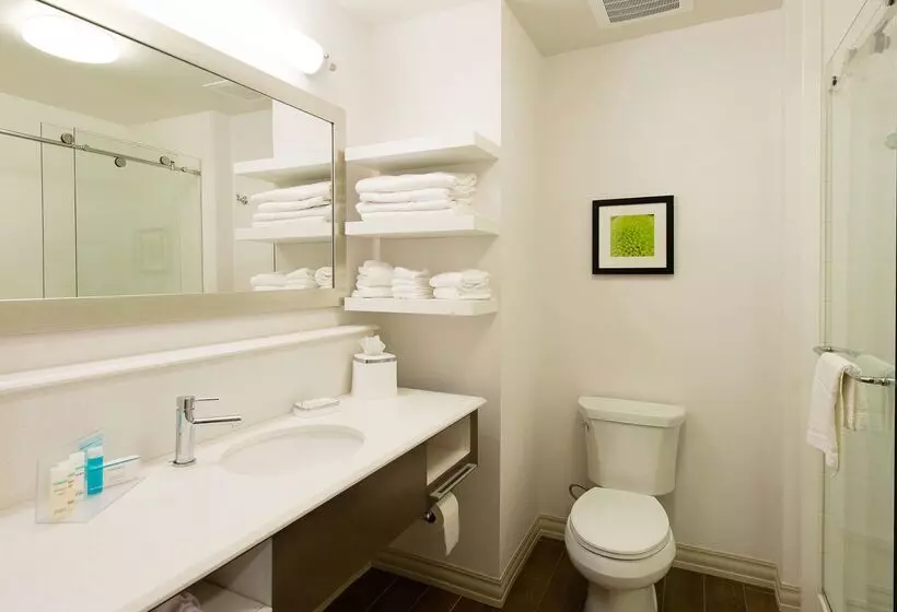 酒店 Hampton Inn & Suites Orangeburg