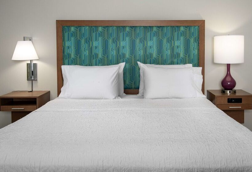 בית מלון כפרי Hampton Inn & Suites Orangeburg