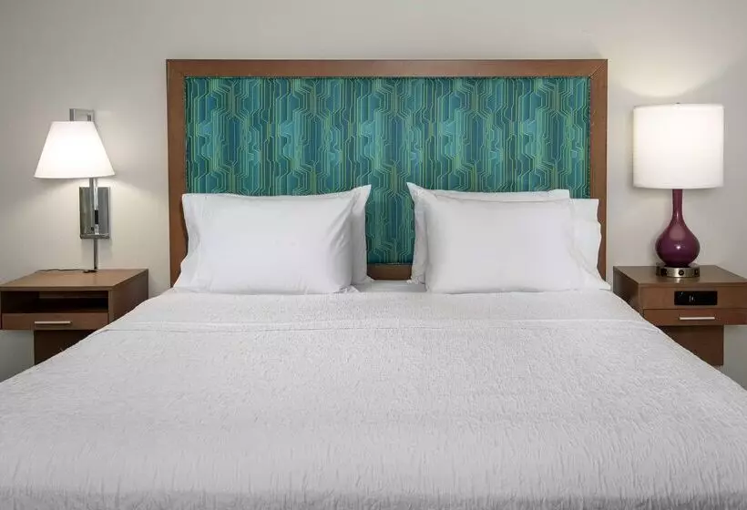 酒店 Hampton Inn & Suites Orangeburg