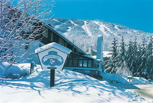 ホテル Liftline Lodge