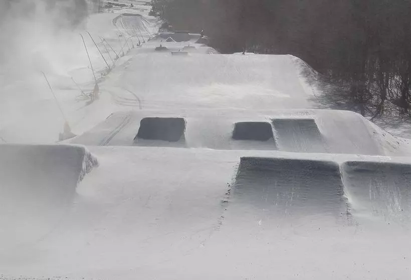 ホテル Liftline Lodge