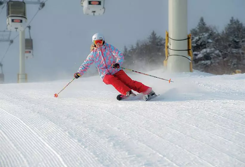 ホテル Liftline Lodge