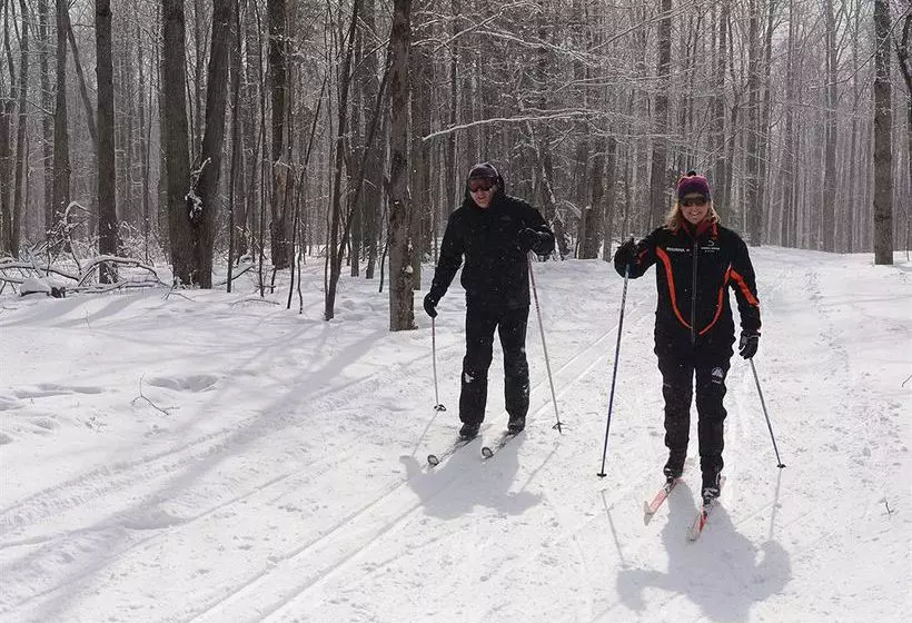 ホテル Liftline Lodge