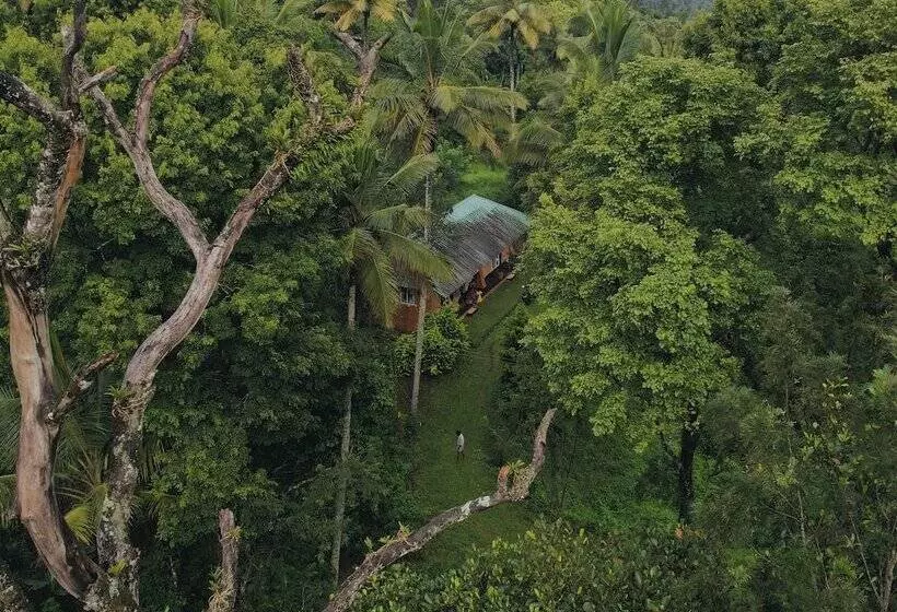 ホテル Punarjani Ayurvedic Resorts