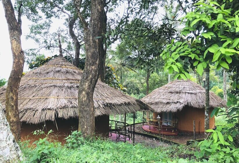 فندق Punarjani Ayurvedic Resorts