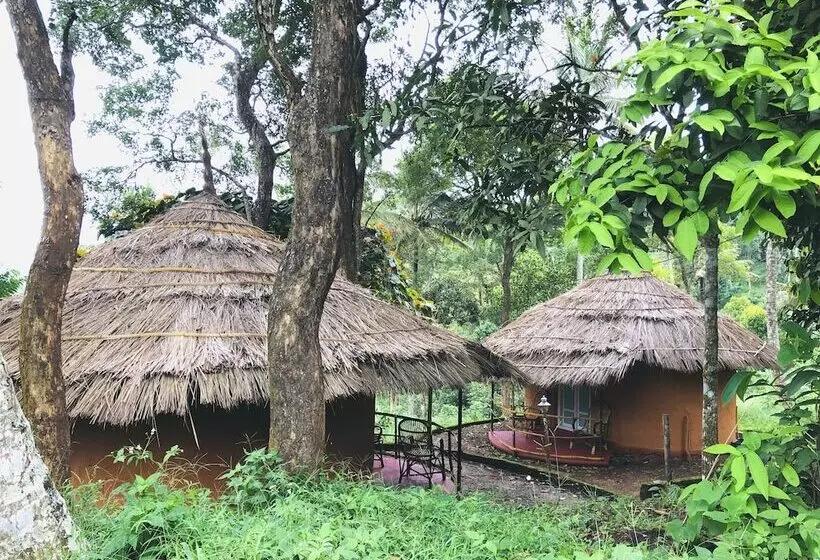 ホテル Punarjani Ayurvedic Resorts